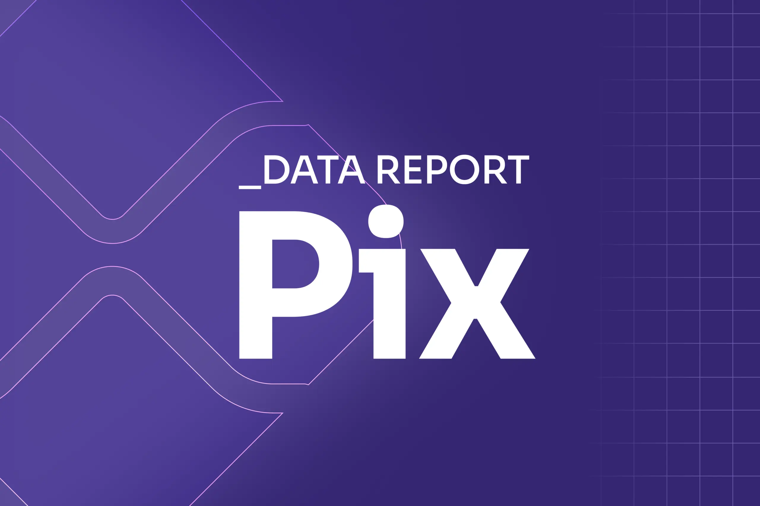 Data report pix 2025